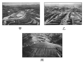 K:\课件\成才之路\2022\同步\成才之路 新教材人教地理选择性必修3 张\新建文件夹\2021XZX3DL49.TIF