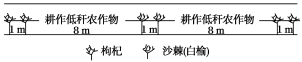 F:\王老师2022\2022年新教材人教地理选择性（必修2）教师做课件YYY\DC199.TIF