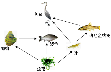 学科网(www.zxxk.com)--教育资源门户，提供试卷、教案、课件、论文、素材以及各类教学资源下载，还有大量而丰富的教学相关资讯！