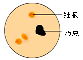 学科网(www.zxxk.com)--教育资源门户，提供试卷、教案、课件、论文、素材以及各类教学资源下载，还有大量而丰富的教学相关资讯！