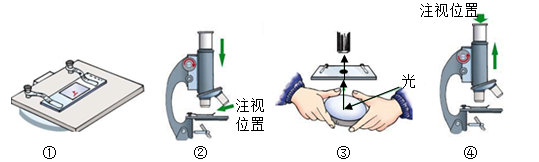 学科网(www.zxxk.com)--教育资源门户，提供试卷、教案、课件、论文、素材以及各类教学资源下载，还有大量而丰富的教学相关资讯！