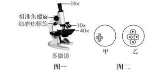 学科网(www.zxxk.com)--教育资源门户，提供试卷、教案、课件、论文、素材以及各类教学资源下载，还有大量而丰富的教学相关资讯！