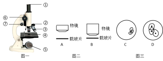 学科网(www.zxxk.com)--教育资源门户，提供试卷、教案、课件、论文、素材以及各类教学资源下载，还有大量而丰富的教学相关资讯！