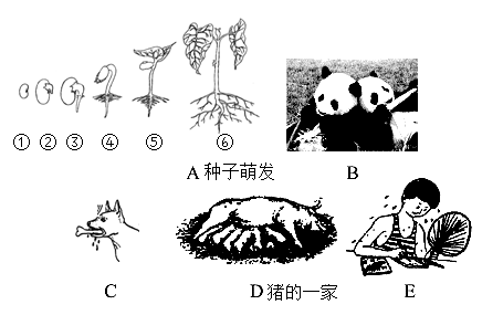 学科网(www.zxxk.com)--教育资源门户，提供试卷、教案、课件、论文、素材以及各类教学资源下载，还有大量而丰富的教学相关资讯！