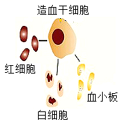 学科网(www.zxxk.com)--教育资源门户，提供试卷、教案、课件、论文、素材以及各类教学资源下载，还有大量而丰富的教学相关资讯！