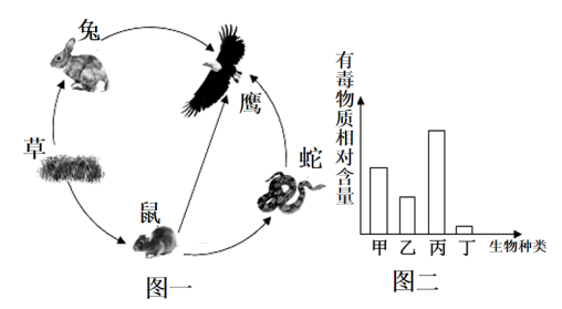 学科网(www.zxxk.com)--教育资源门户，提供试卷、教案、课件、论文、素材以及各类教学资源下载，还有大量而丰富的教学相关资讯！