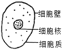 学科网(www.zxxk.com)--教育资源门户，提供试卷、教案、课件、论文、素材以及各类教学资源下载，还有大量而丰富的教学相关资讯！