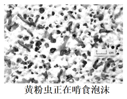 学科网(www.zxxk.com)--教育资源门户，提供试卷、教案、课件、论文、素材以及各类教学资源下载，还有大量而丰富的教学相关资讯！