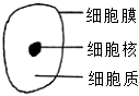 学科网(www.zxxk.com)--教育资源门户，提供试卷、教案、课件、论文、素材以及各类教学资源下载，还有大量而丰富的教学相关资讯！