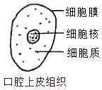 学科网(www.zxxk.com)--教育资源门户，提供试卷、教案、课件、论文、素材以及各类教学资源下载，还有大量而丰富的教学相关资讯！