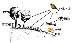 学科网(www.zxxk.com)--教育资源门户，提供试卷、教案、课件、论文、素材以及各类教学资源下载，还有大量而丰富的教学相关资讯！