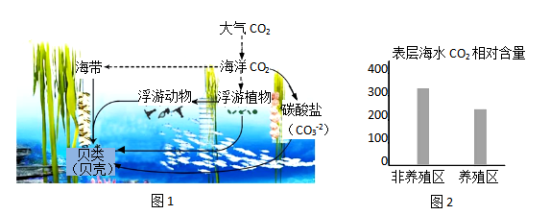 学科网(www.zxxk.com)--教育资源门户，提供试卷、教案、课件、论文、素材以及各类教学资源下载，还有大量而丰富的教学相关资讯！