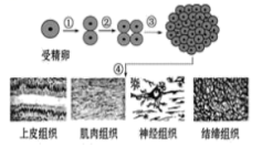 学科网(www.zxxk.com)--教育资源门户，提供试卷、教案、课件、论文、素材以及各类教学资源下载，还有大量而丰富的教学相关资讯！