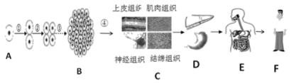 学科网(www.zxxk.com)--教育资源门户，提供试卷、教案、课件、论文、素材以及各类教学资源下载，还有大量而丰富的教学相关资讯！