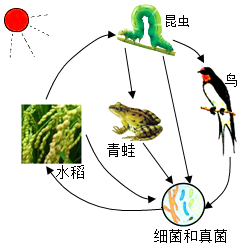 学科网(www.zxxk.com)--教育资源门户，提供试卷、教案、课件、论文、素材以及各类教学资源下载，还有大量而丰富的教学相关资讯！