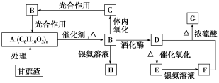 G:\王曉亞\2016年\同步測(cè)試卷\卷\優(yōu)化方案同步測(cè)試卷·人教化學(xué)必修2\人教必修2（有白紙和文件）\M51.TIF