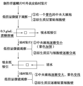 KTB18SW-153.TIF