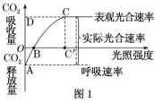 23XYSW-337.TIF