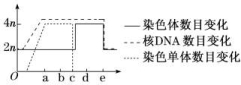 23XYSW-402.TIF