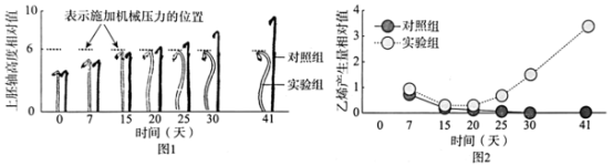 手机屏幕截图

中度可信度描述已自动生成