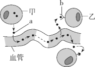 学科网(www.zxxk.com)--教育资源门户，提供试卷、教案、课件、论文、素材以及各类教学资源下载，还有大量而丰富的教学相关资讯！