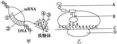 学科网(www.zxxk.com)--教育资源门户，提供试卷、教案、课件、论文、素材以及各类教学资源下载，还有大量而丰富的教学相关资讯！