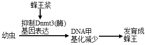 学科网(www.zxxk.com)--教育资源门户，提供试卷、教案、课件、论文、素材以及各类教学资源下载，还有大量而丰富的教学相关资讯！