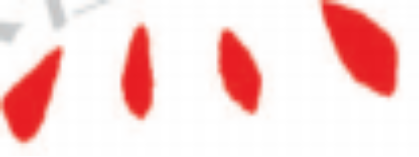 截图20221215180625