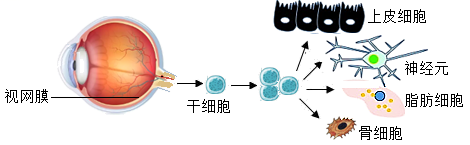 学科网(www.zxxk.com)--教育资源门户，提供试卷、教案、课件、论文、素材以及各类教学资源下载，还有大量而丰富的教学相关资讯！