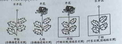 学科网(www.zxxk.com)--教育资源门户，提供试卷、教案、课件、论文、素材以及各类教学资源下载，还有大量而丰富的教学相关资讯！