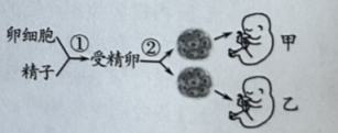 学科网(www.zxxk.com)--教育资源门户，提供试卷、教案、课件、论文、素材以及各类教学资源下载，还有大量而丰富的教学相关资讯！