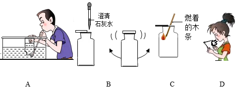 图示

描述已自动生成