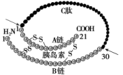 高中生物工作室 http://sw.fjjy.org