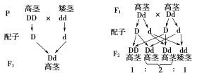 TBLB20-2-80.TIF