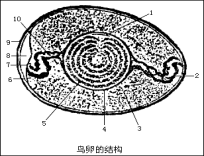 学科网(www.zxxk.com)--教育资源门户，提供试卷、教案、课件、论文、素材及各类教学资源下载，还有大量而丰富的教学相关资讯！