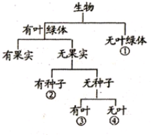 菁优网