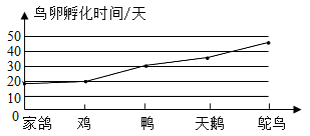 21世纪教育网 -- 中国最大型、最专业的中小学教育资源门户网站