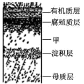 学科网(www.zxxk.com)--教育资源门户，提供试卷、教案、课件、论文、素材以及各类教学资源下载，还有大量而丰富的教学相关资讯！