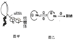 高中试卷网 http://sj.fjjy.org