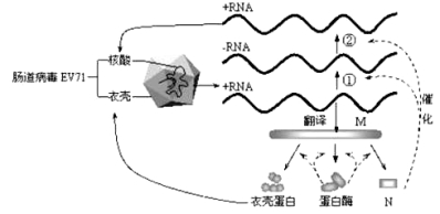 高中试卷网 http://sj.fjjy.org