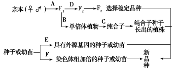 高中试卷网 http://sj.fjjy.org