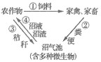 高中试卷网 http://sj.fjjy.org