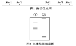 高中试卷网 http://sj.fjjy.org