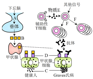 学科网(www.zxxk.com)--教育资源门户，提供试卷、教案、课件、论文、素材以及各类教学资源下载，还有大量而丰富的教学相关资讯！