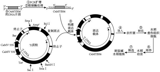 学科网(www.zxxk.com)--教育资源门户，提供试卷、教案、课件、论文、素材以及各类教学资源下载，还有大量而丰富的教学相关资讯！