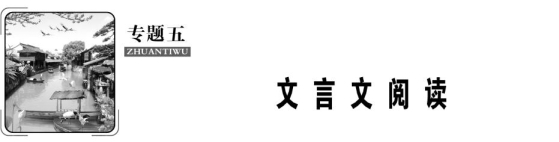 专题五.TIF