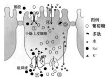 截图_202007112142804SS