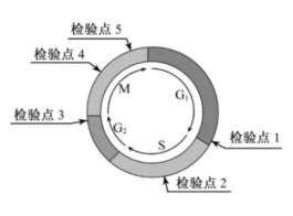 截图_2020071122141514SS