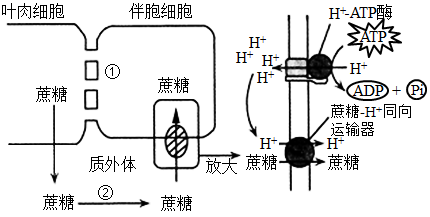 学科网(www.zxxk.com)--教育资源门户，提供试卷、教案、课件、论文、素材以及各类教学资源下载，还有大量而丰富的教学相关资讯！