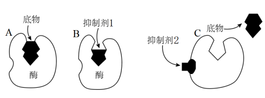 学科网(www.zxxk.com)--教育资源门户，提供试卷、教案、课件、论文、素材以及各类教学资源下载，还有大量而丰富的教学相关资讯！